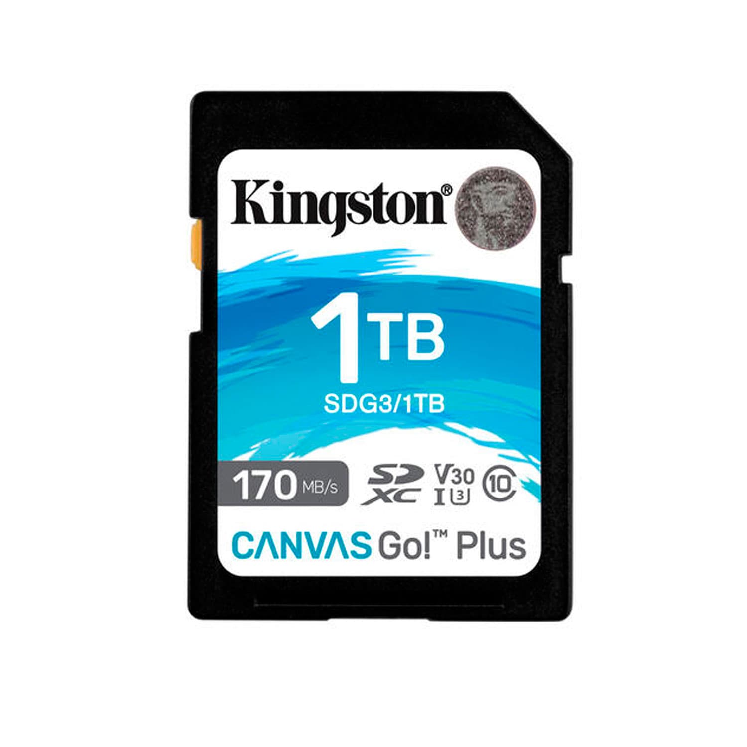 TARJETA SD 1TB KINGSTON CANVAS GO PLUS G4