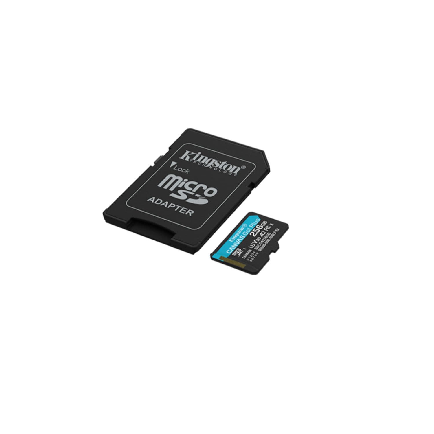 miniatura 7
